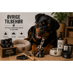&Oslash;vrige tilbeh&oslash;r og udstyr