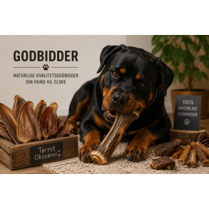 Godbidder