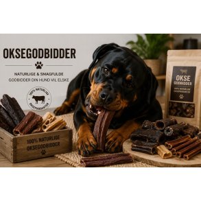 Oksegodbidder